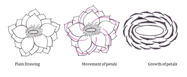 Figure 5: physiological structure of Lotus. The creative potential came to be ascribed to lotus which was the creating instrument as well as the flower of creation. Lotus represents the symmetry in composition. In nature symmetry grabs our attention that’s why the artist or architect exploited Lotus to good use. The psychologists have found that the most symmetrical faces are generally judged to be the most attractive.