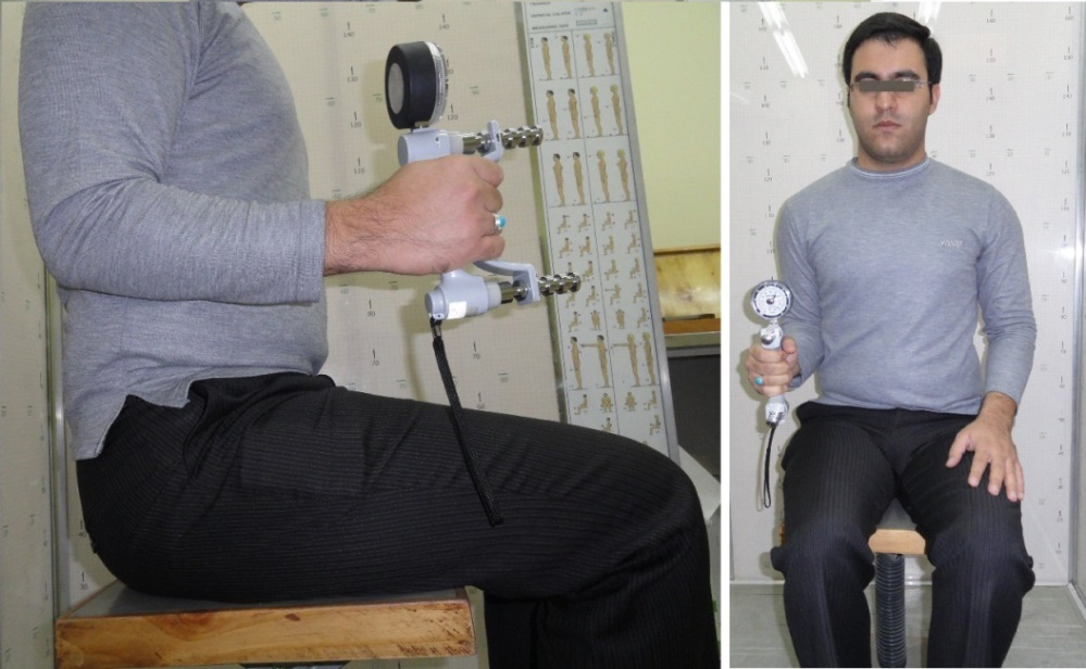 Figure 2: Body posture during the grip strength test.