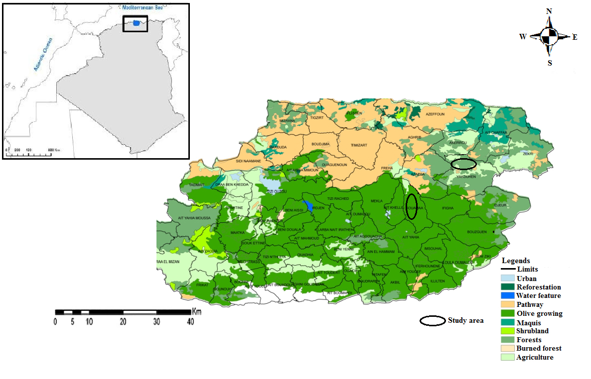 Figure 2: Geographical situation of the study locality.