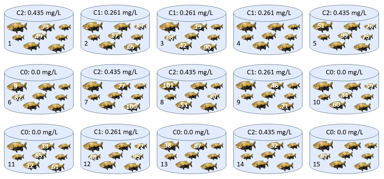 Figure 1: Experimental design performed in the experiment. C0 – control concentration (without the addition of Trichlorfon in the water); C1: concentration 1, 30% of Trichlorfon LC50-96h diluted in water (0.261 mg/L of Trichlorfon); C2: concentration 2, 50% of Trichlorfon LC50-96h diluted in water (0.435 mg/L of Trichlorfon). Numbers of samples are shown for each tank and concentration.