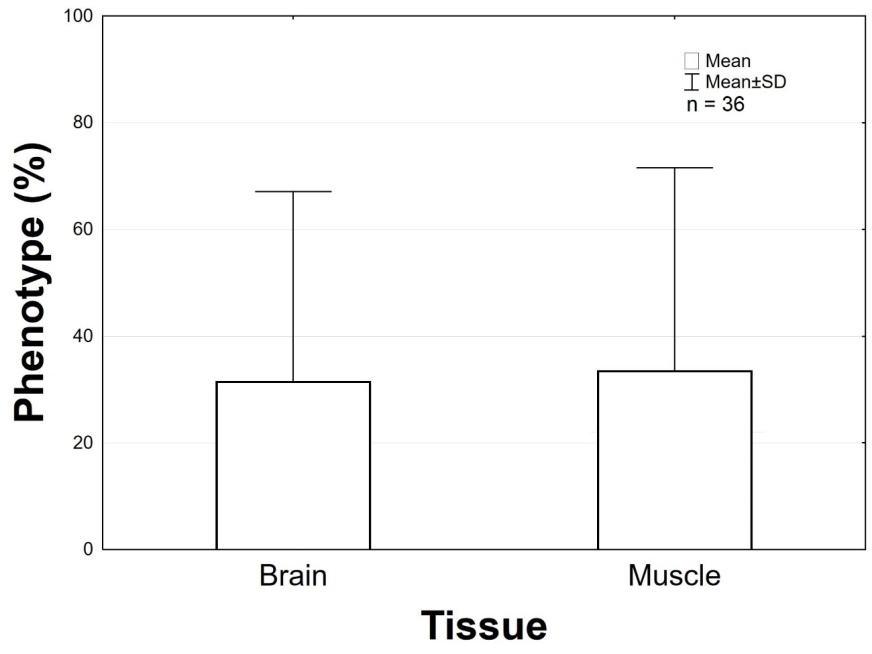 Figure 4: Comparison graph of methylation profiles between brain and muscle. No statistical differences observed.