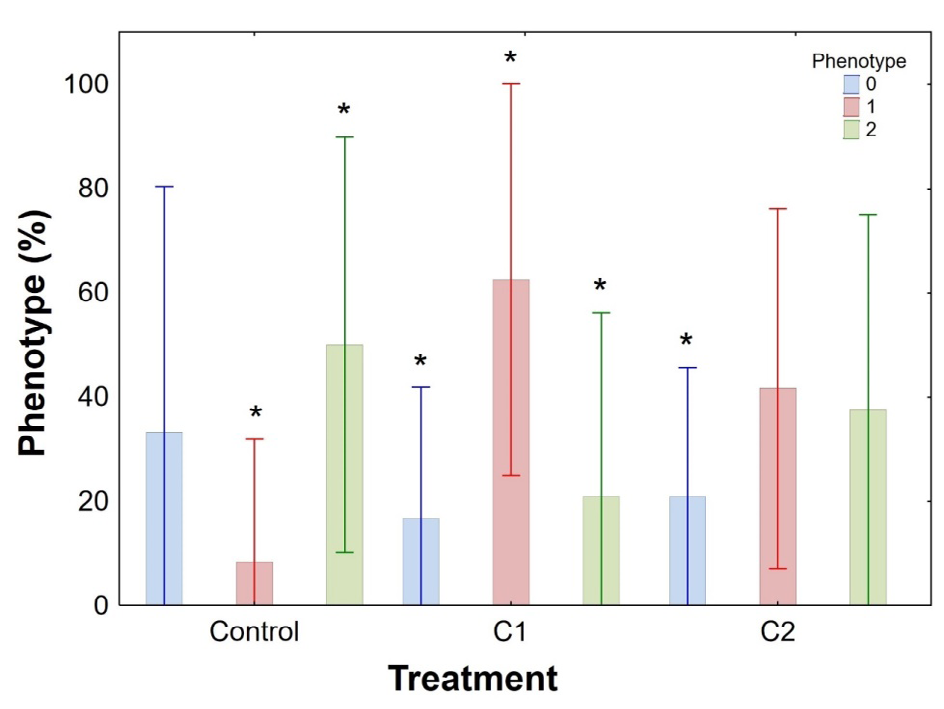 Figure 8: Three-way ANOVA graph showing interaction between phenotypes (0, 1, 2) and treatment (C0, C1 and C2). Phenotype 1 (red color) corresponding to hypermethylated is significantly larger in the C1 concentration. Asterisk indicates statistical significance (p<0.05).