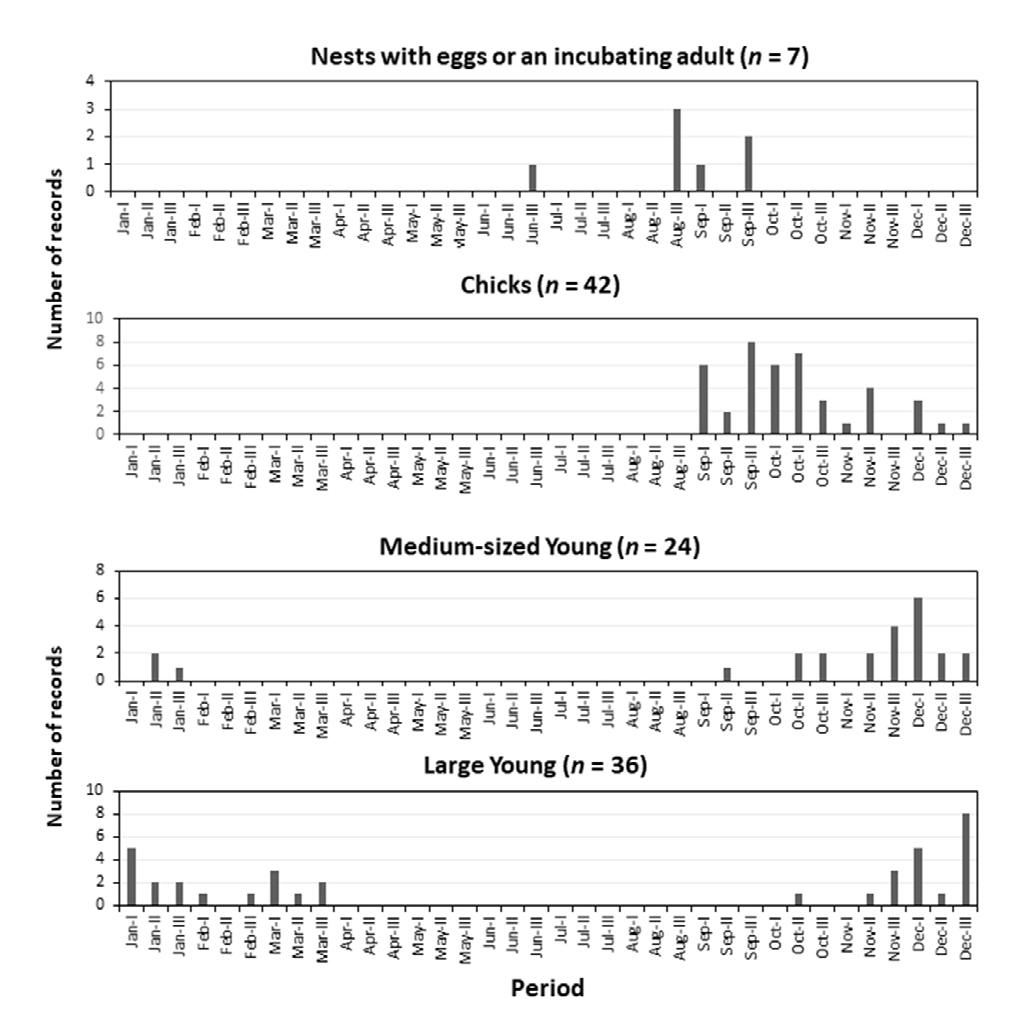 Figure 4: Seasonal occurrence of photographic records of eggs (black bars), incubating males (gray bars), and young of the Greater Rhea (Rhea americana) in non-protected landscapes in the Brazilian Cerrado. Records were gathered in the WikiAves database in September 2021.