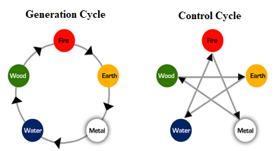 Figure 5: Generation cycle and Control cycle.