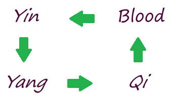 Figure 6: The interrelationship between _Yin, Yang, Qi,_ and Blood.