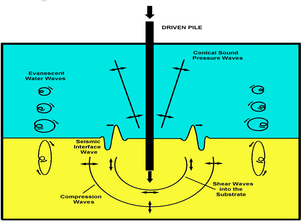 Figure 3: A seismic interface wave (ground roll), is created here by the impact of a driven pile. The impact energy excites vibration waves traveling radially outward from a central point source. A pile driver, struck by a vertical hammer creates sound pressure waves in water and vibrational waves within the substrate. The motions of some particles above and below the seismic interface. Waves are shown using hodographs.