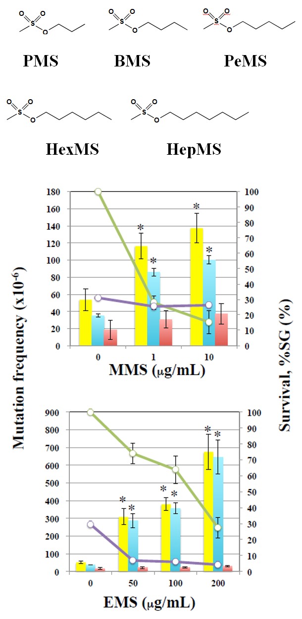 Figure 1: AMSs having an _n_-alkyl group with 1 and 2 carbons [methyl methanesulfonate (MMS) and ethyl methanesulfonate (EMS)] were obtained from Sigma Chemicals inc. (St. Louis, MO, U.S.A.).