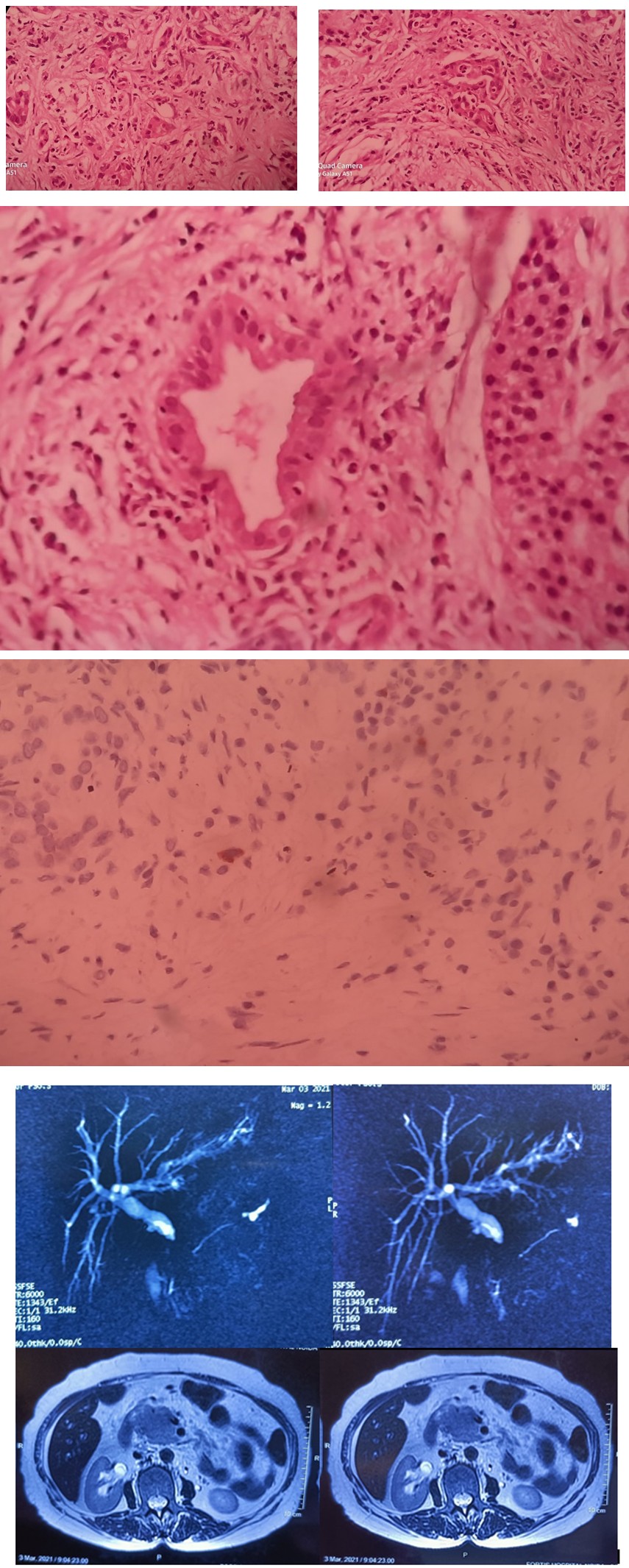 Figure 2: Radiological images.