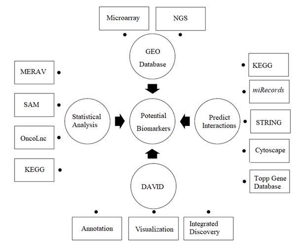 Figure 1: Different tools of bioinformatics for identification of potential biomarkers.