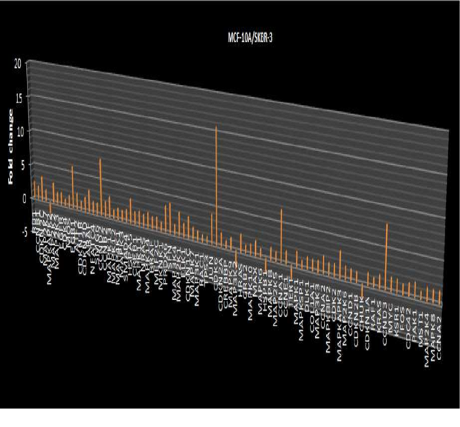 Figure 3: Fold Change of Expression Levels of Genes in the MAPK Signaling Pathway Between MCF10A and SKBR3 Cell Lines.