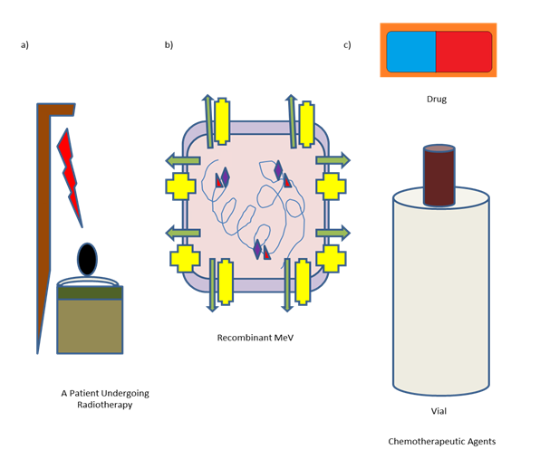 Figure 3: A combined therapeutic approach. a) A patient undergoing radiotherapy. b) Recombinant MeV. c) Chemotherapeutic agents consisting of drug or a vial of injection.