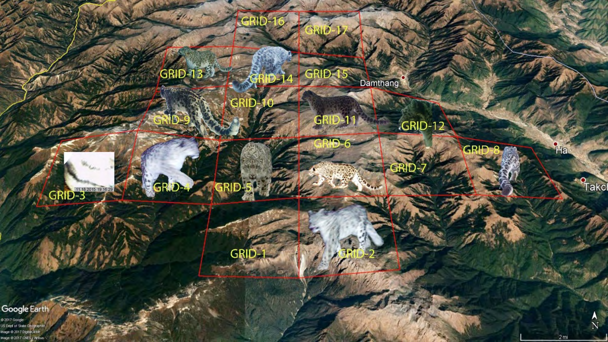 Figure 17: Other wildlife species captured in camera traps.