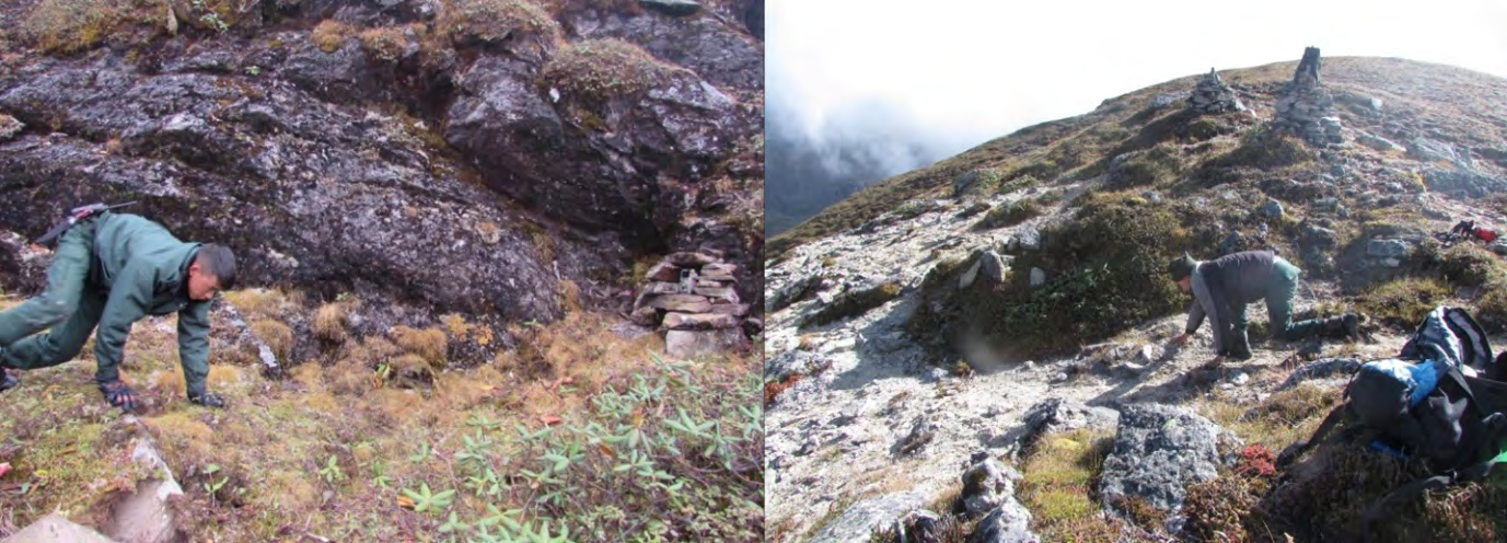 Figure 5: Team members mimicked snow leopards in front of the cameras to check if the cameras are positioned such that the vital body parts of the animals are captured.