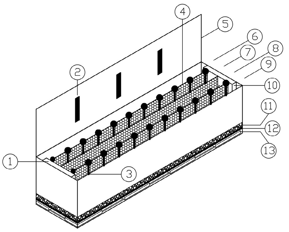 Figure 2: Thermal gradient. (1) Heat Source, (2) Photoperiod System, (3) Thermometer, (4) Lane Separator Mesh, (5) Gradient Cap, (6), (7), (8) and (9) Lanes, (10) Cooling Source, (11) Gravel Substrate, (12) Perforated Acrylic Base, (13) Moisture System. The mean temperature range of the system was 9.27°C (±2.09) to 38.63°C (± 2.40), increasing by approximately 3°C every 10 cm.