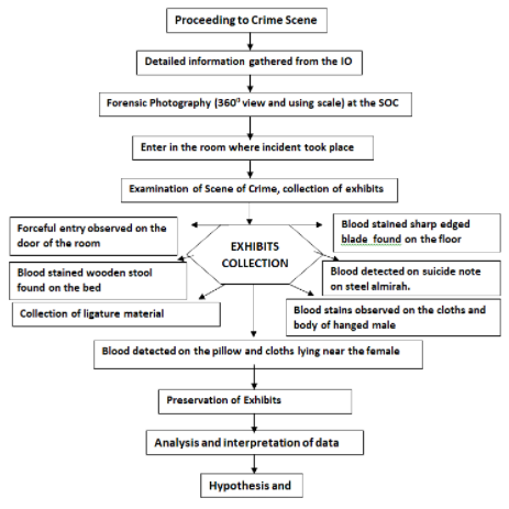 Figure 4: Flow Chart of Crime Scene Examination.