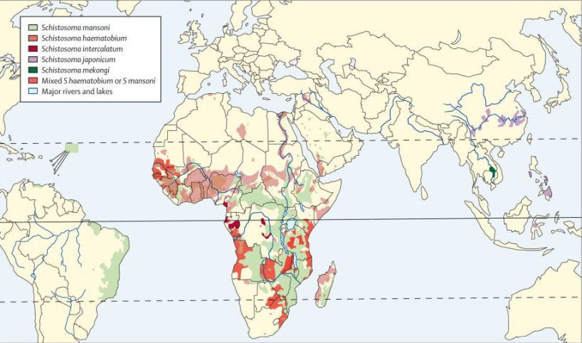 Figure 1: Global distribution of countries where human schistosomiasis is transmitted [8].