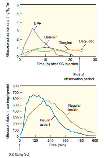 Figure 1: Extent and duration of action of various types of insulin in a fasting diabetic state. (From Gardner DG, Shoback DM. Greenspan’s basic and clinical endocrinology. McGraw-Hill Education; 2017).
